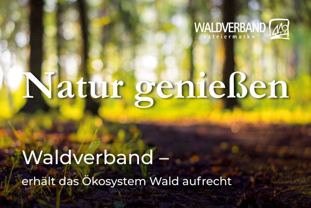 Waldverband