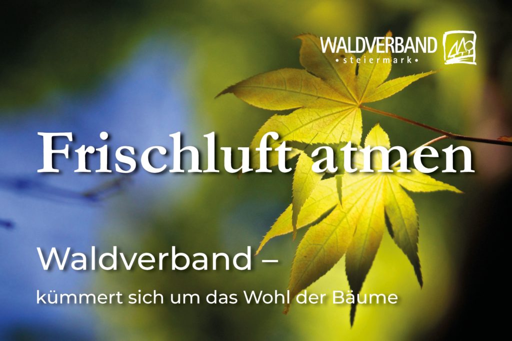 Waldverband
