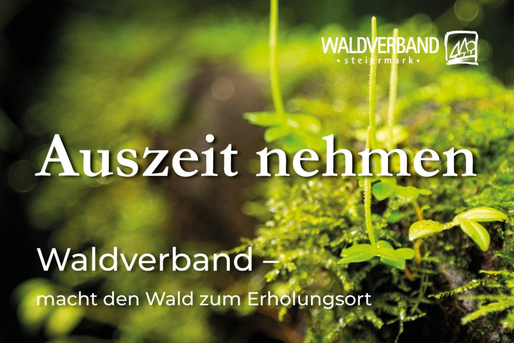 Waldverband